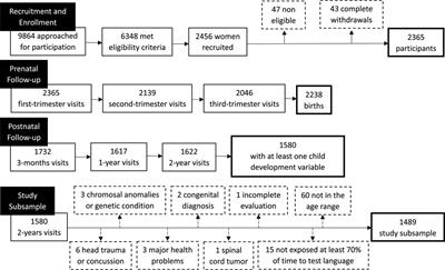 Antidepressants use during pregnancy and child psychomotor, cognitive and language development at 2 years of age—Results from the 3D Cohort Study